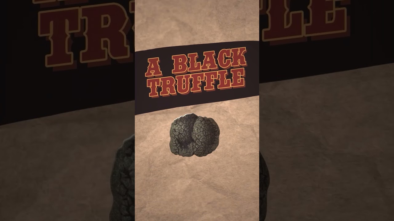 Why Real Truffles Are So Expensive