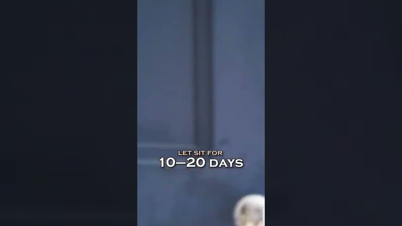 Home-made Crème de cassis / Blackcurrant liqueur #shorts