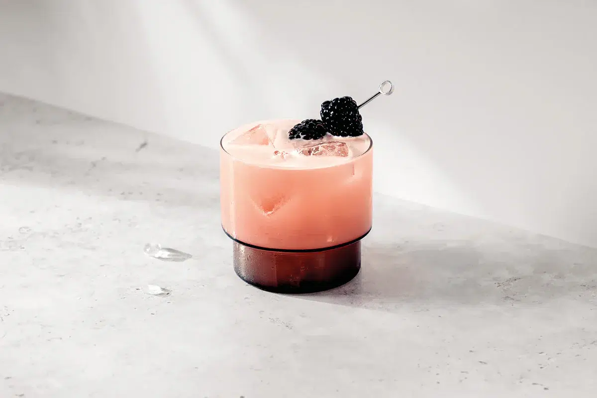 Bramble Cocktail served over ice in a short glass, garnished with fresh blackberries on a cocktail pick – classic gin drink with a fruity twist